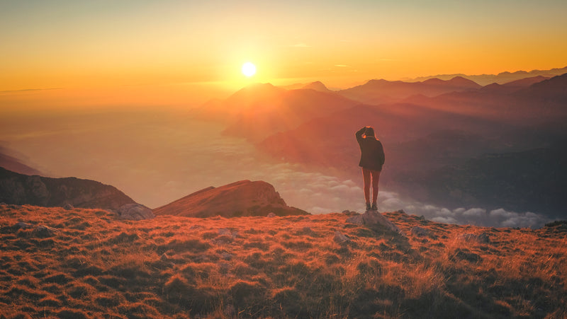 Far horizons